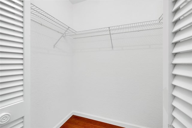 spacious closet featuring wood-type flooring