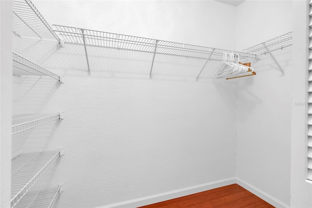 walk in closet with wood-type flooring