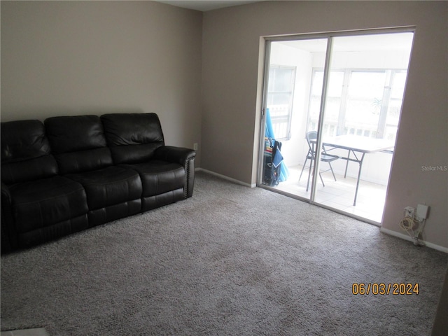 living room with carpet flooring