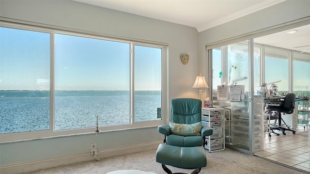 living area with carpet floors and a water view