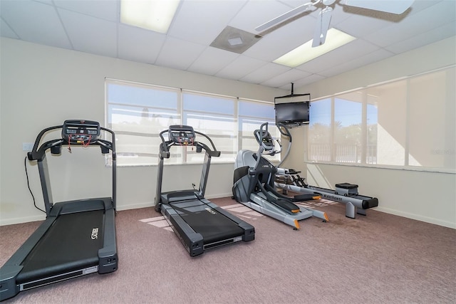 workout room with ceiling fan, a drop ceiling, and carpet floors