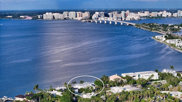 bird's eye view with a water view