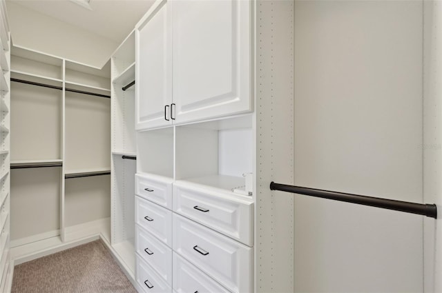 walk in closet with light colored carpet