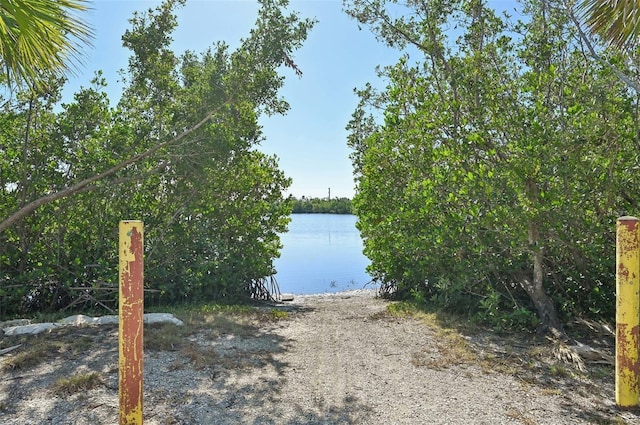 property view of water