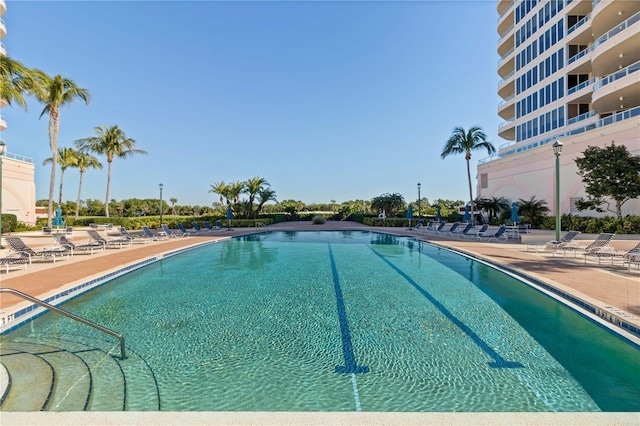 view of swimming pool featuring a patio area