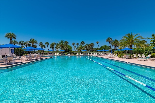 view of pool with a patio area