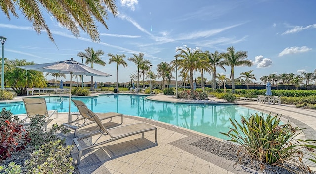 view of swimming pool with a patio