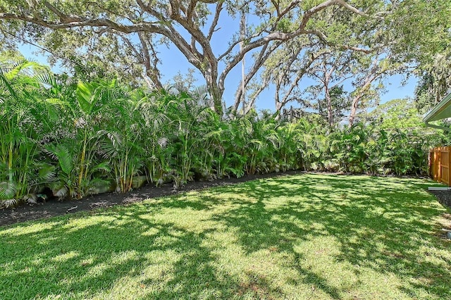 730 40th St, Sarasota, FL 34234 - view of yard