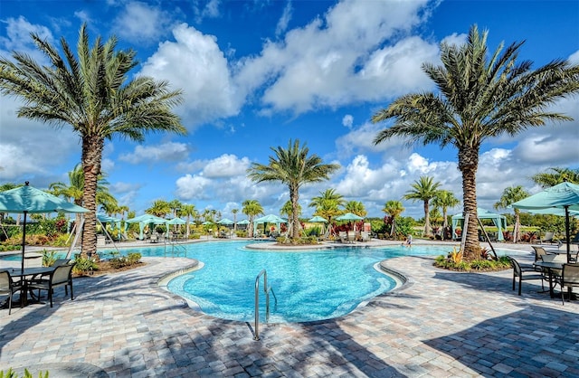 view of pool featuring a patio