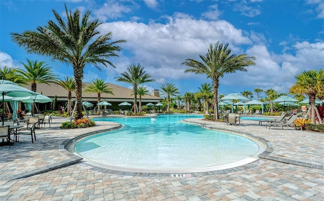 view of swimming pool with a patio