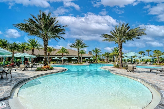 view of swimming pool with a patio