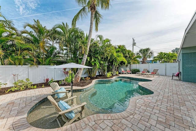 view of pool with a patio