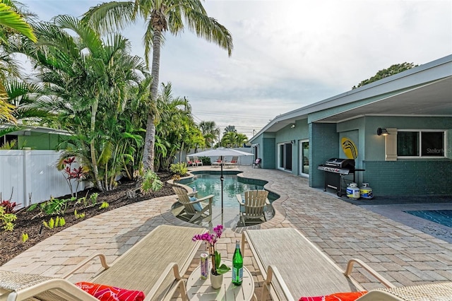 view of swimming pool with area for grilling and a patio area