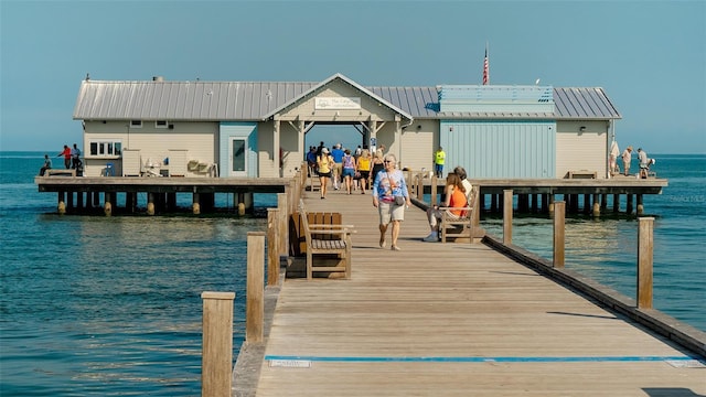 dock area with a water view