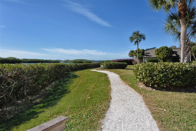 view of property's community featuring a lawn