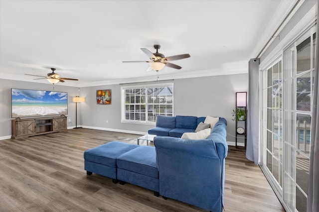 living room featuring ceiling fan, wood-type flooring, and ornamental molding