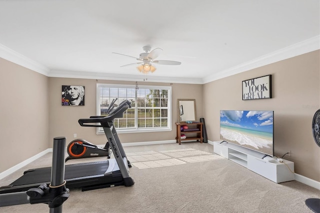 exercise area with crown molding, carpet floors, and ceiling fan