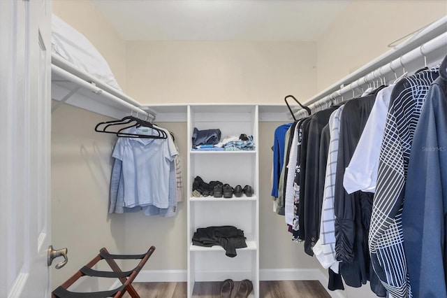 spacious closet with hardwood / wood-style flooring