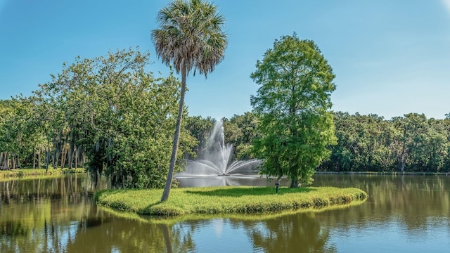 view of water feature