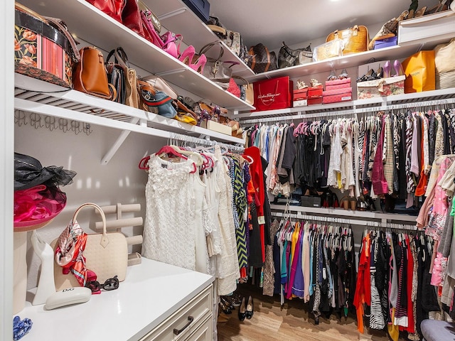 spacious closet featuring wood-type flooring