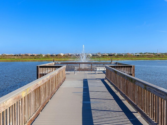 dock area with a water view