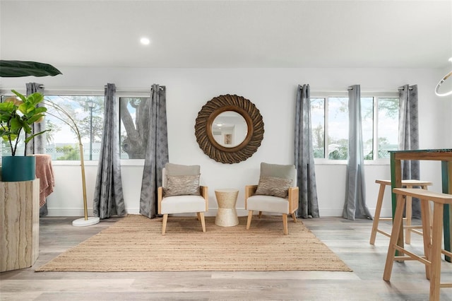 living area featuring light hardwood / wood-style floors