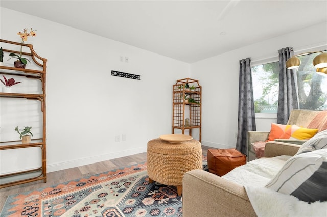 living room featuring wood-type flooring