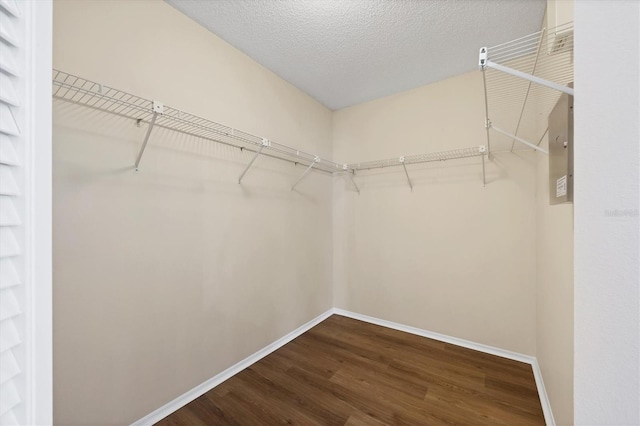 spacious closet featuring wood-type flooring