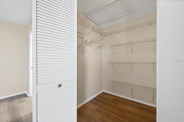 spacious closet featuring hardwood / wood-style flooring