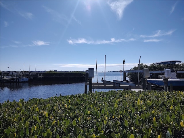 dock area featuring a water view