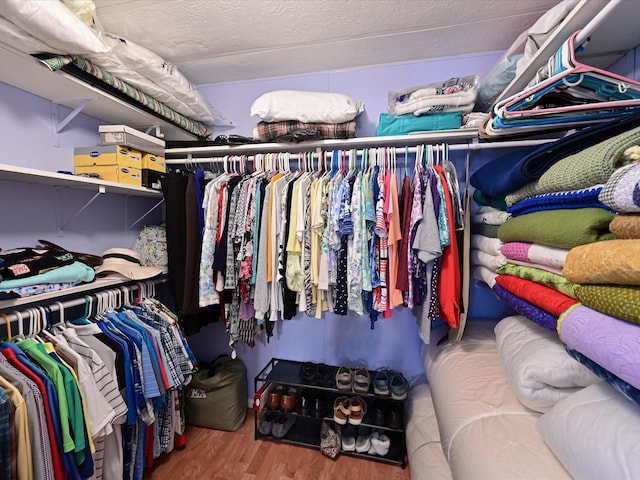 spacious closet with hardwood / wood-style flooring