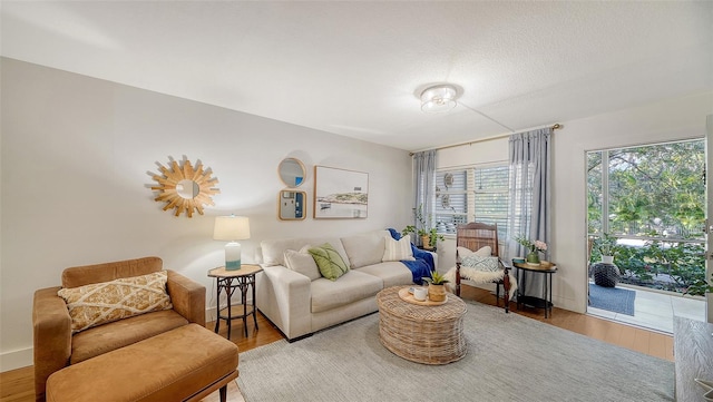 living room with hardwood / wood-style floors