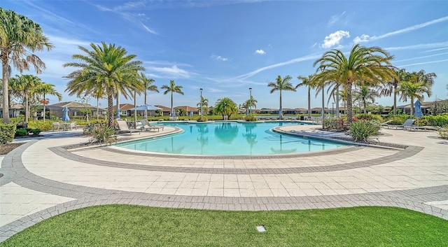 view of swimming pool with a patio area