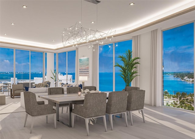 dining space featuring a raised ceiling, light hardwood / wood-style flooring, and a water view