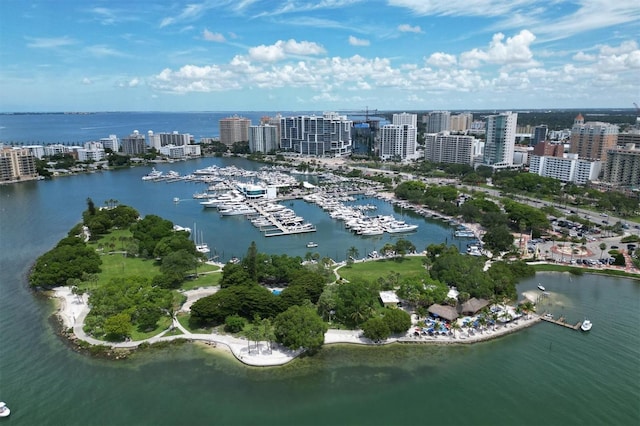 drone / aerial view with a water view