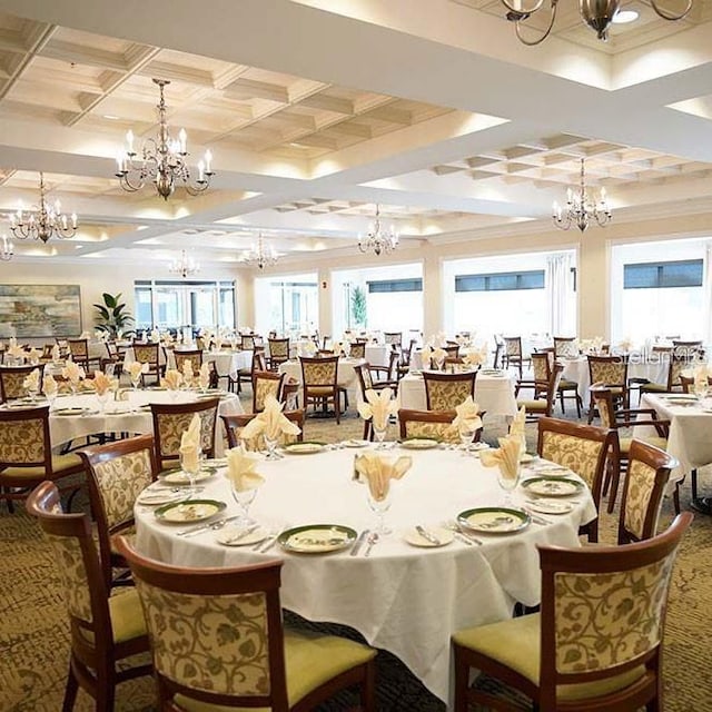 carpeted dining room with a healthy amount of sunlight, beam ceiling, and coffered ceiling