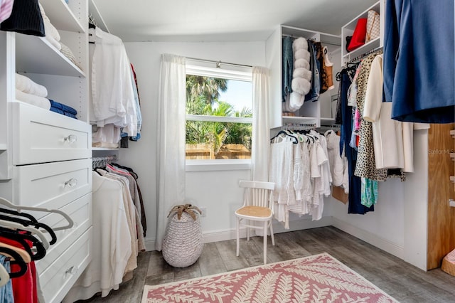 spacious closet featuring hardwood / wood-style flooring