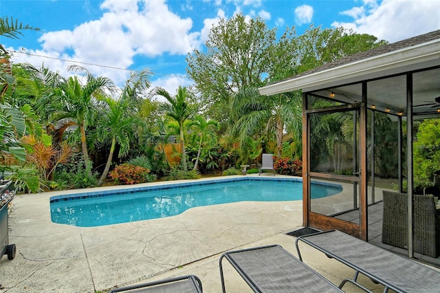 view of pool featuring a patio