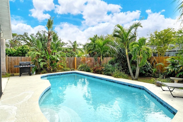 view of pool featuring area for grilling and a patio area