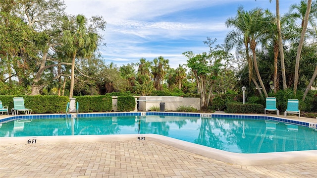 view of swimming pool