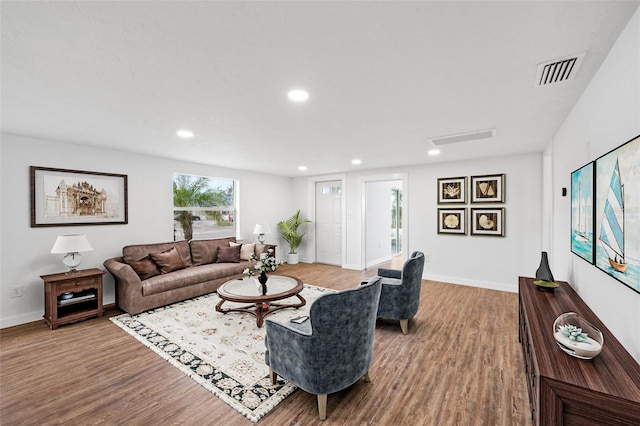 living room with wood-type flooring