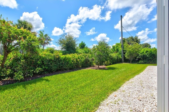 482 Rubens Dr E, Nokomis, FL 34275 - view of green lawn