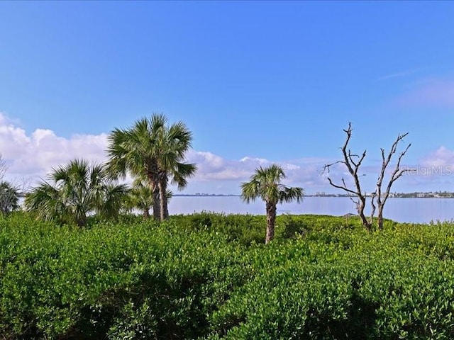 view of nature with a water view