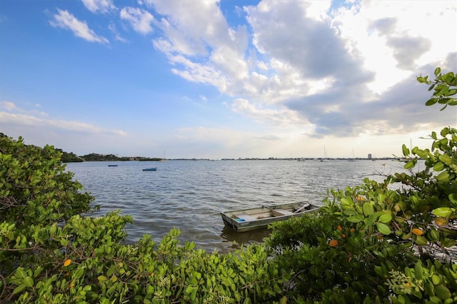 property view of water featuring a boat dock