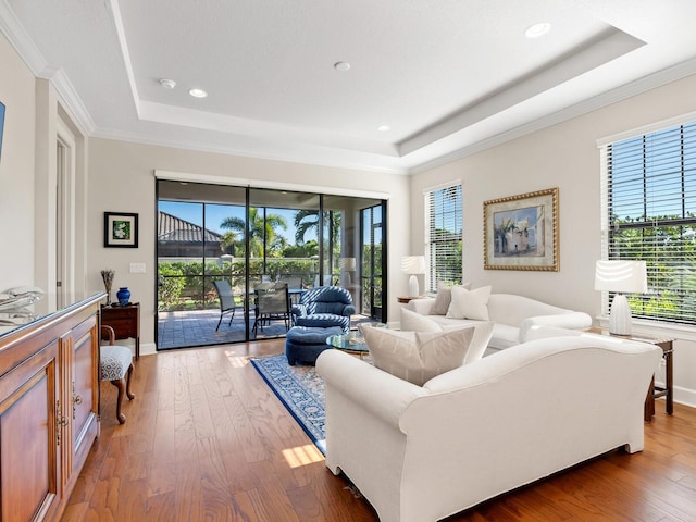 living room featuring dark hardwood / wood-style floors, a healthy amount of sunlight, and a raised ceiling