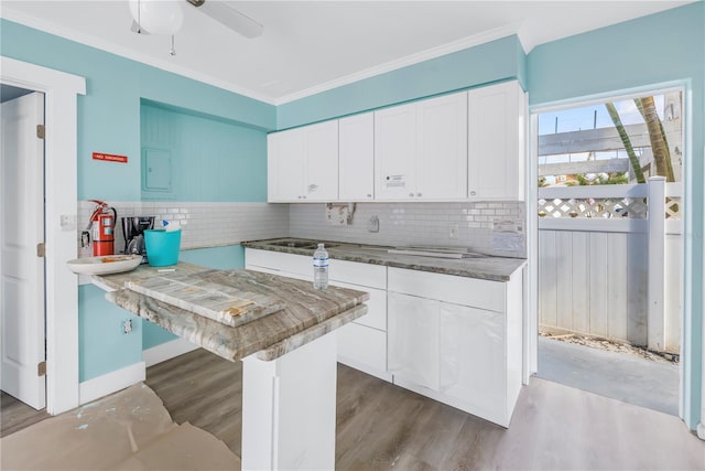 kitchen with white cabinetry, ceiling fan, dark wood-type flooring, tasteful backsplash, and crown molding