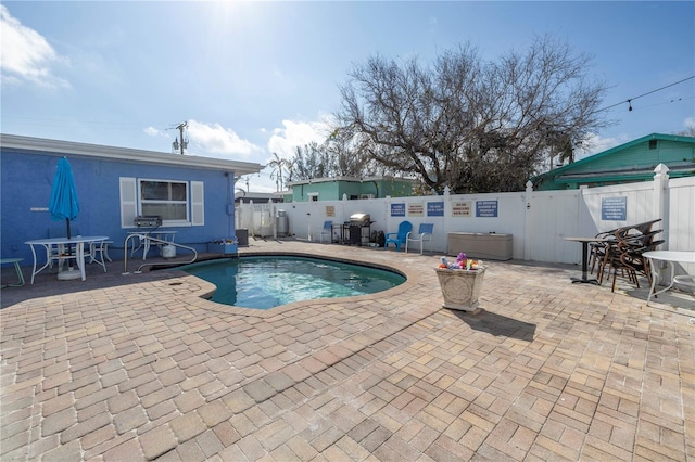 view of swimming pool with a patio