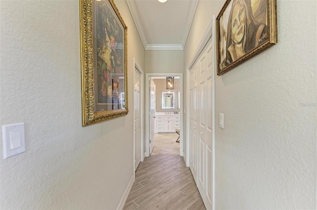 hall featuring light hardwood / wood-style flooring and ornamental molding