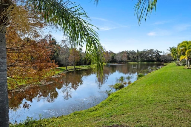 water view