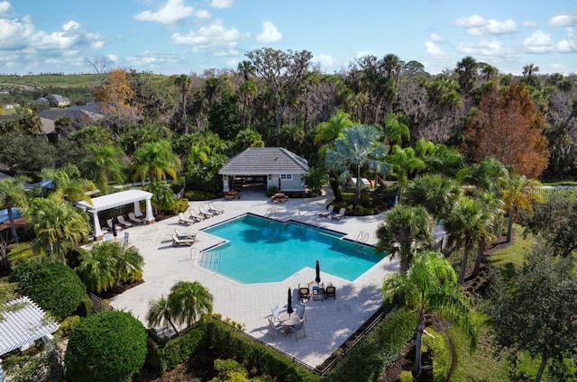 view of swimming pool with a patio